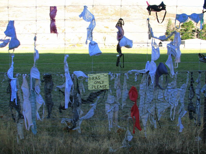 Bra Fence